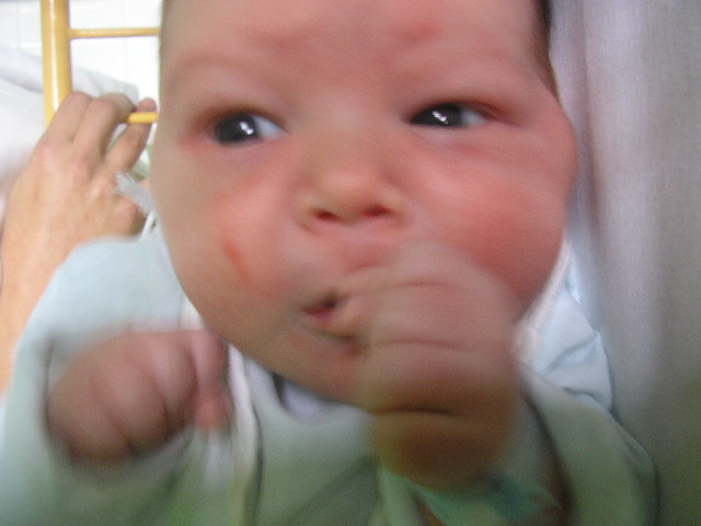 FOTO 073.jpg